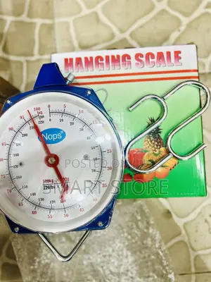 Spring Mechanical Hanging Scale