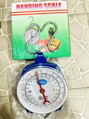 Spring Mechanical Hanging Scale