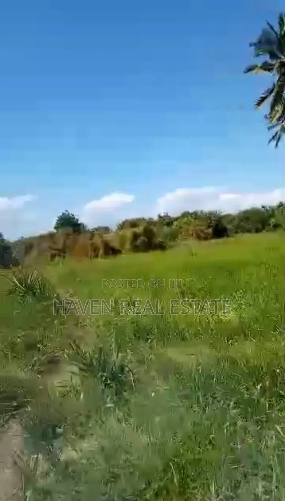 Beach Plot for Sale at Bagamoyo