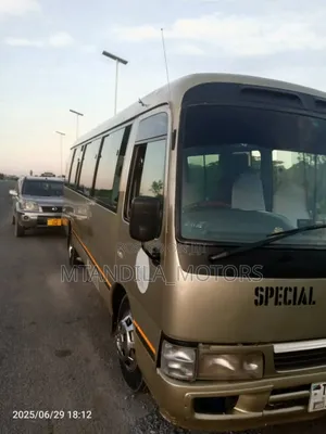 Toyota Coaster 2002 Gold