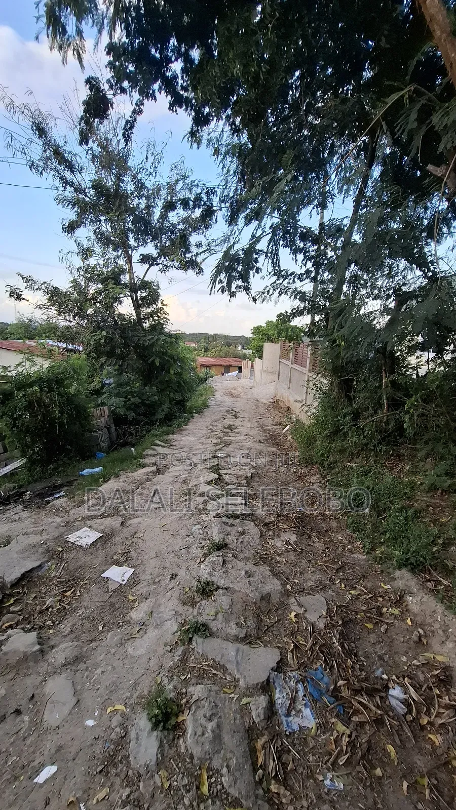 Plot at Changanyikeni Udsm Near by Tarmac