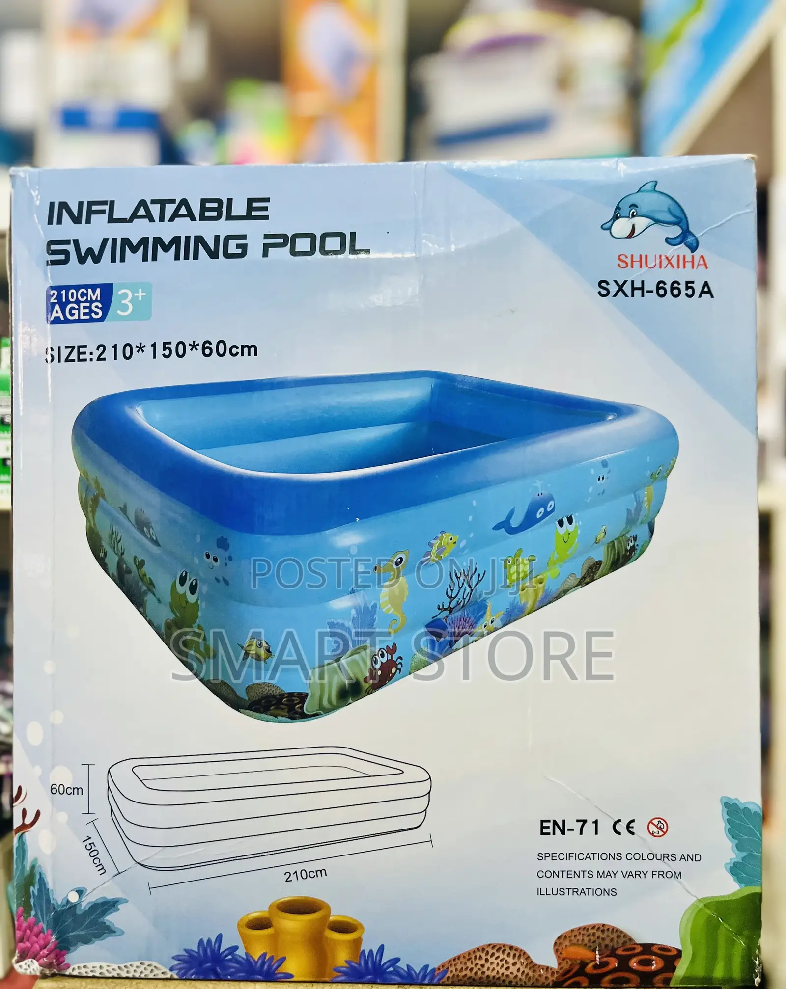 Inflatable Swimming Pool 210×150×60cm With Pump
