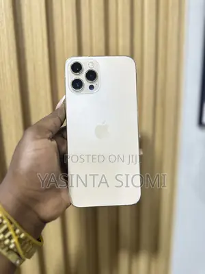 Apple iPhone 12 Pro Max 256 GB Rose Gold