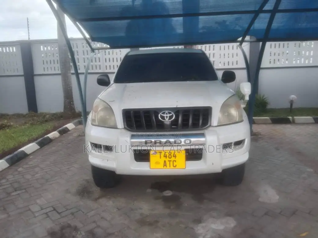 Toyota Land Cruiser 2004 White