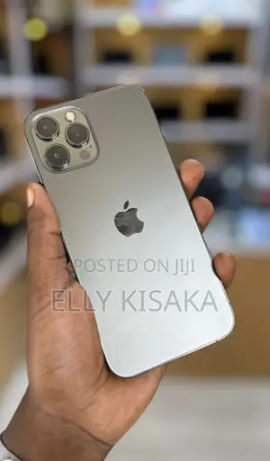 Apple iPhone 12 Pro Max 128 GB Gray