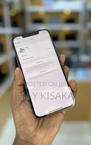 Apple iPhone 12 Pro Max 128 GB Gray