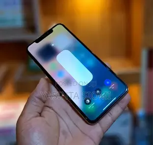 Apple iPhone 11 Pro Max 64 GB Gray