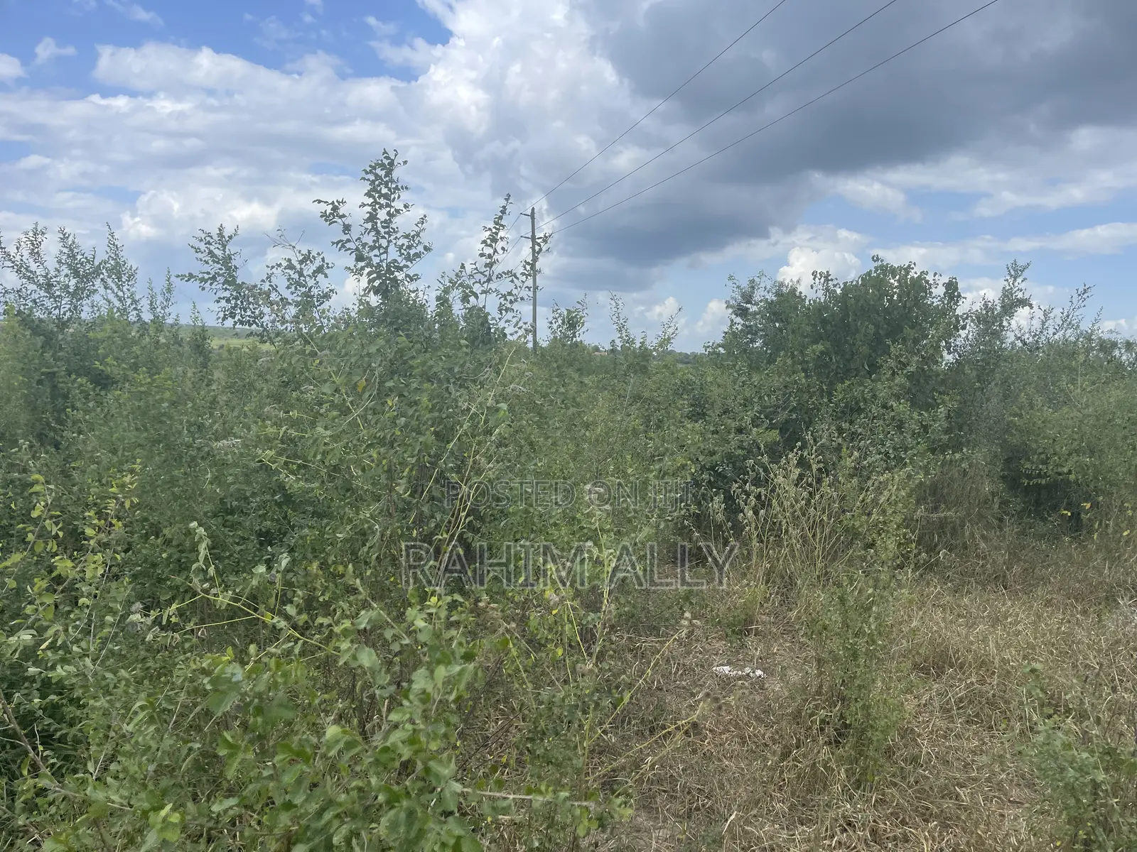 Shamba Linauzwa Lenye Hati Miliki