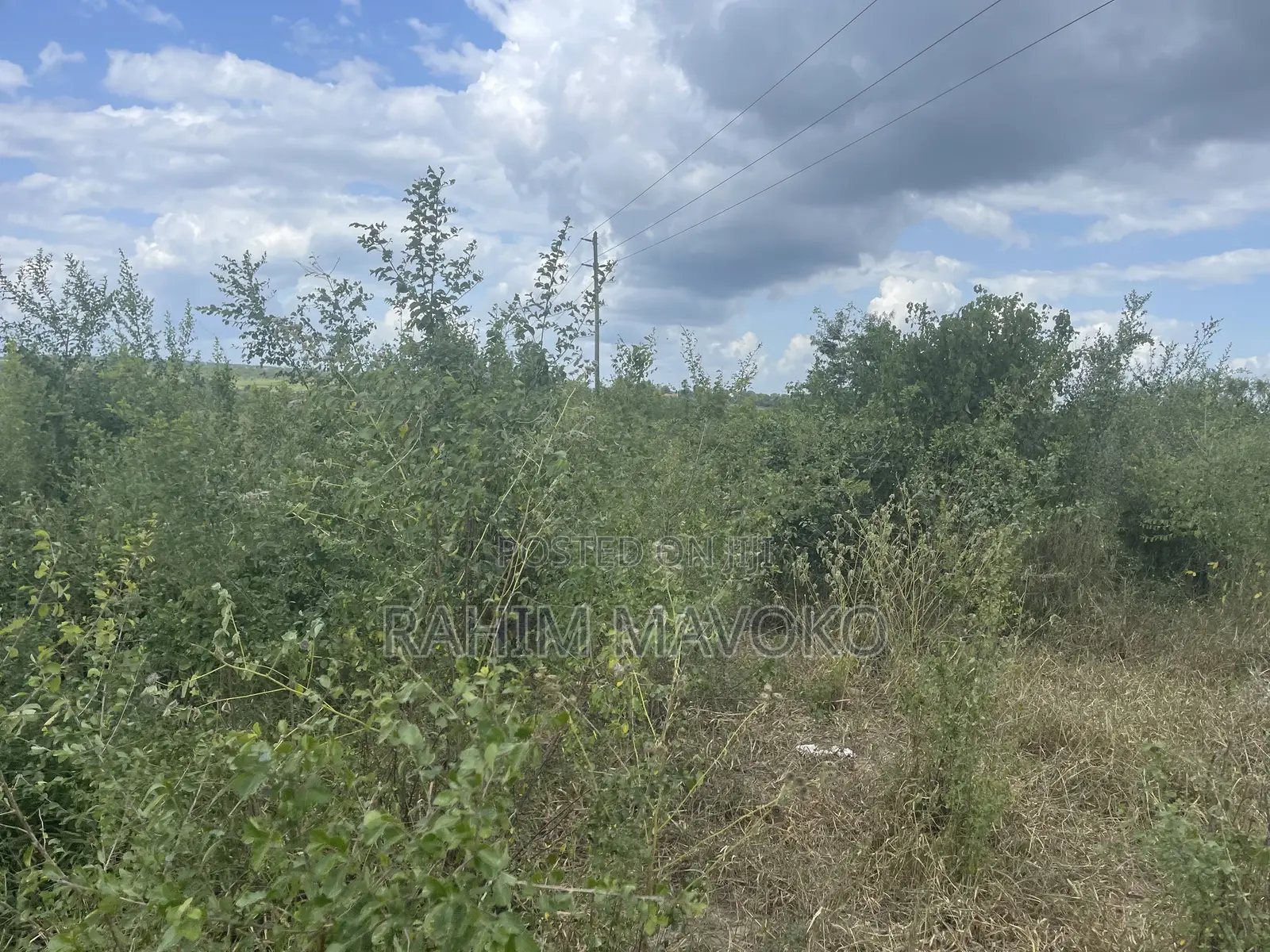 Shamba Linauzwa Lenye Hati Miliki