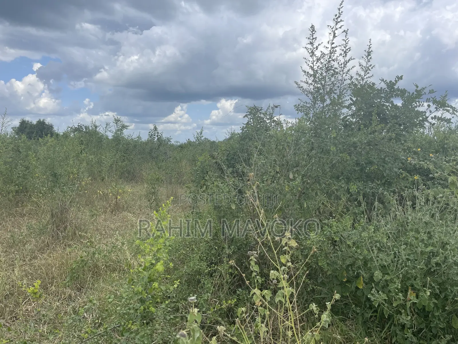 Shamba Linauzwa Lenye Hati Miliki