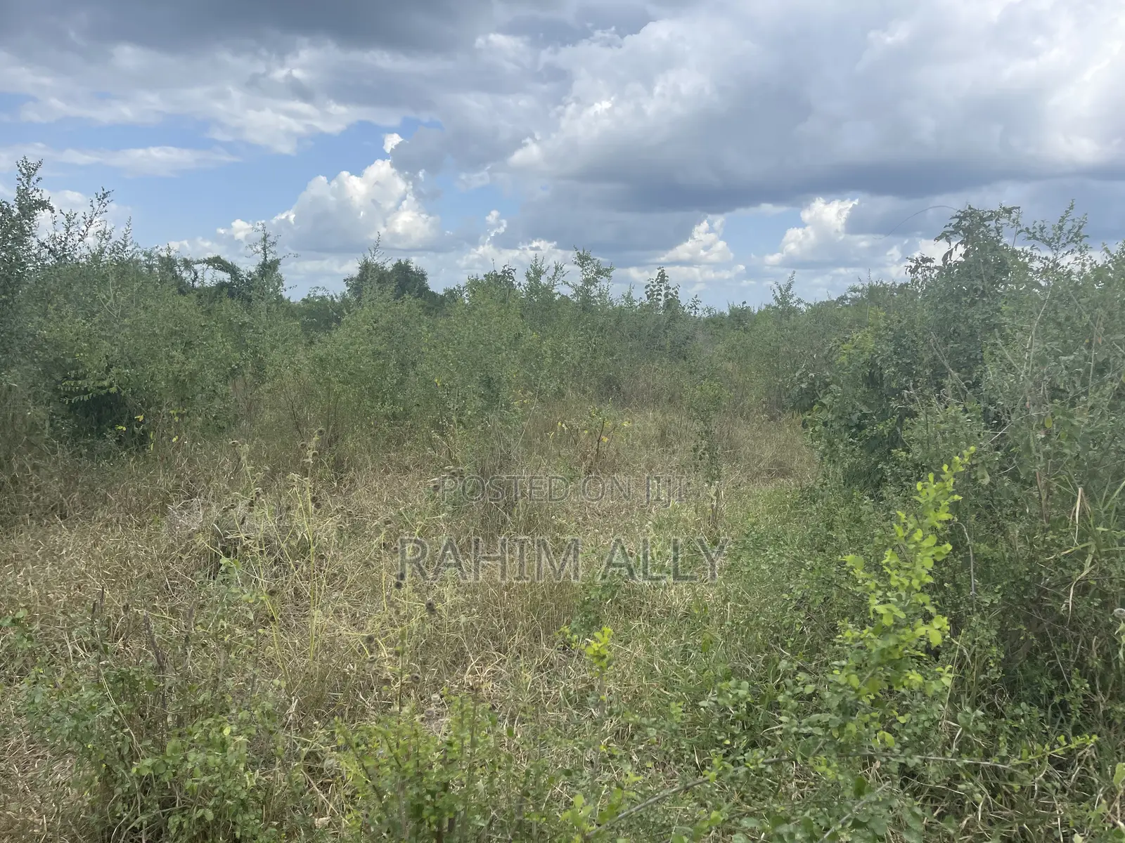 Shamba Linauzwa Lenye Hati Miliki