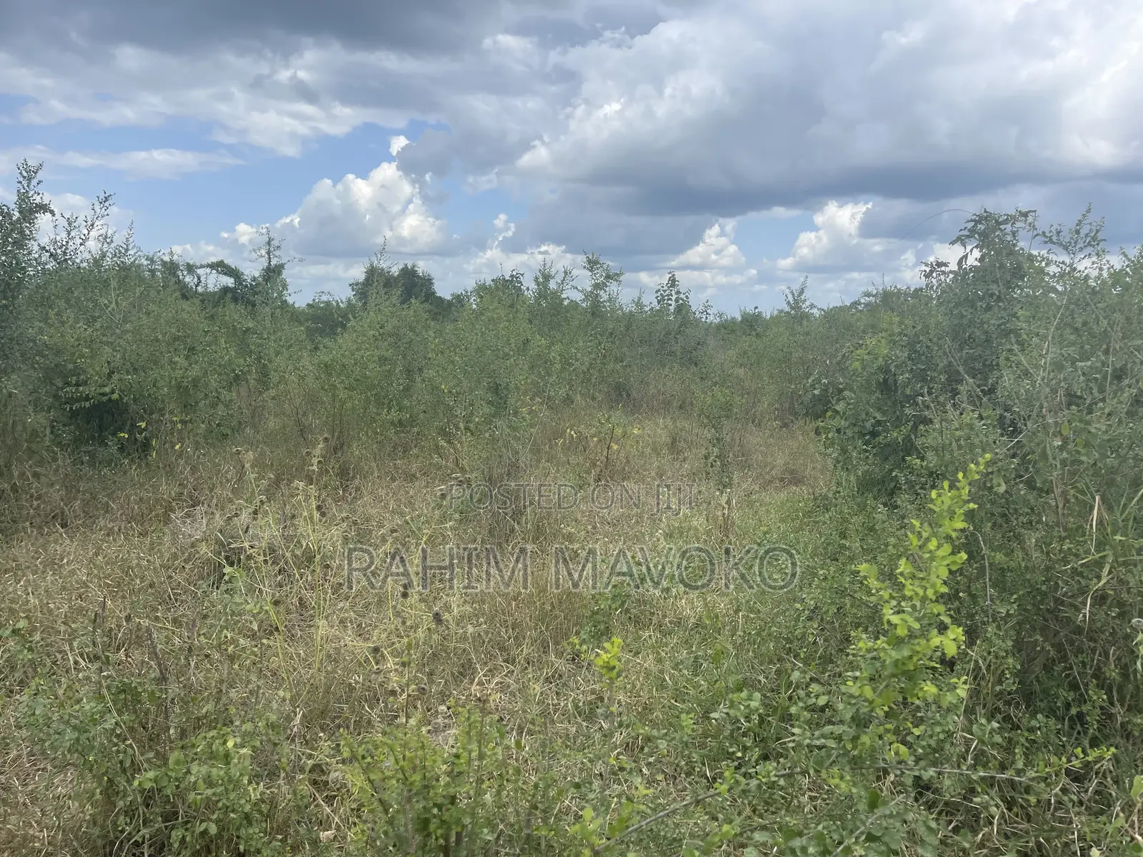 Shamba Linauzwa Lenye Hati Miliki