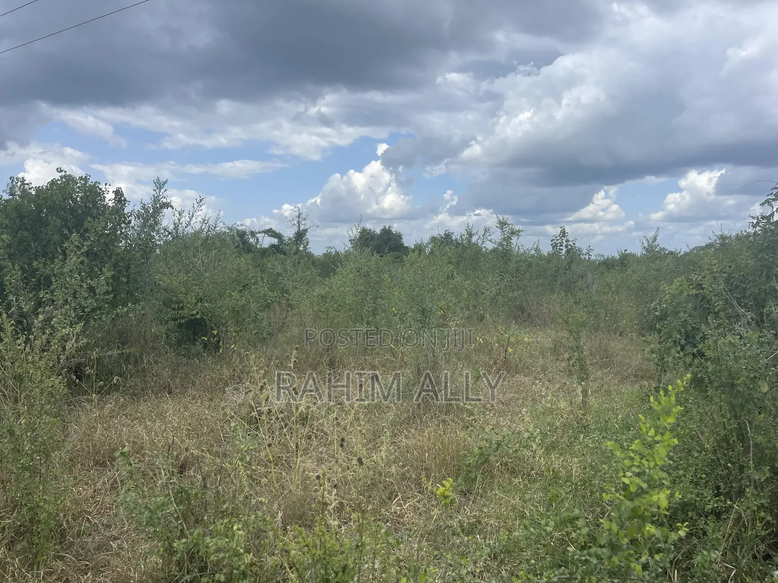 Shamba Linauzwa Lenye Hati Miliki