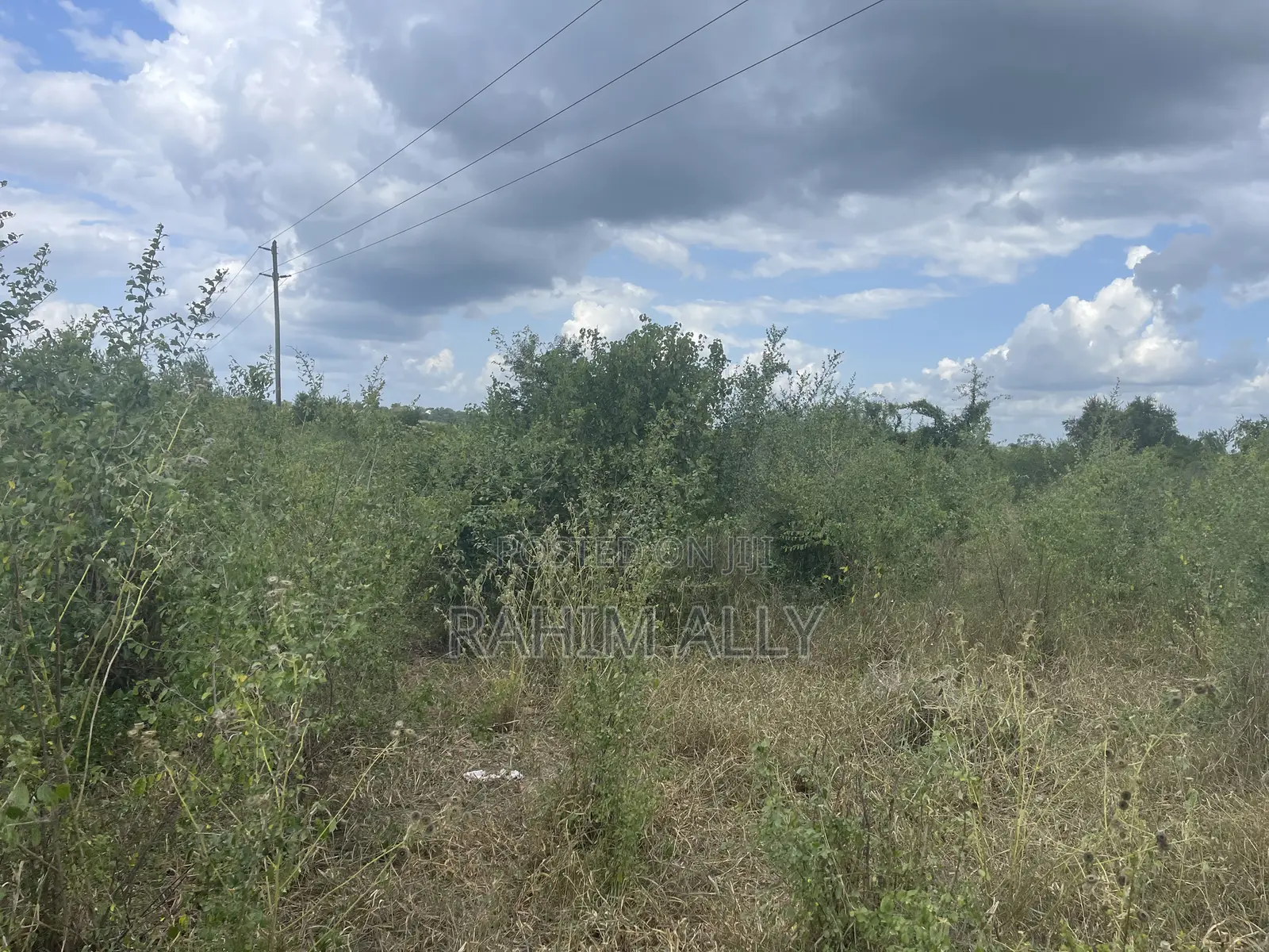 Shamba Linauzwa Lenye Hati Miliki