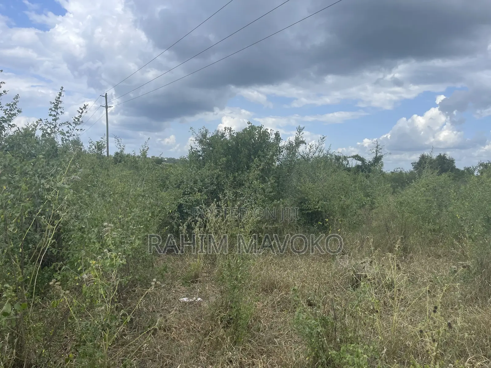 Shamba Linauzwa Lenye Hati Miliki