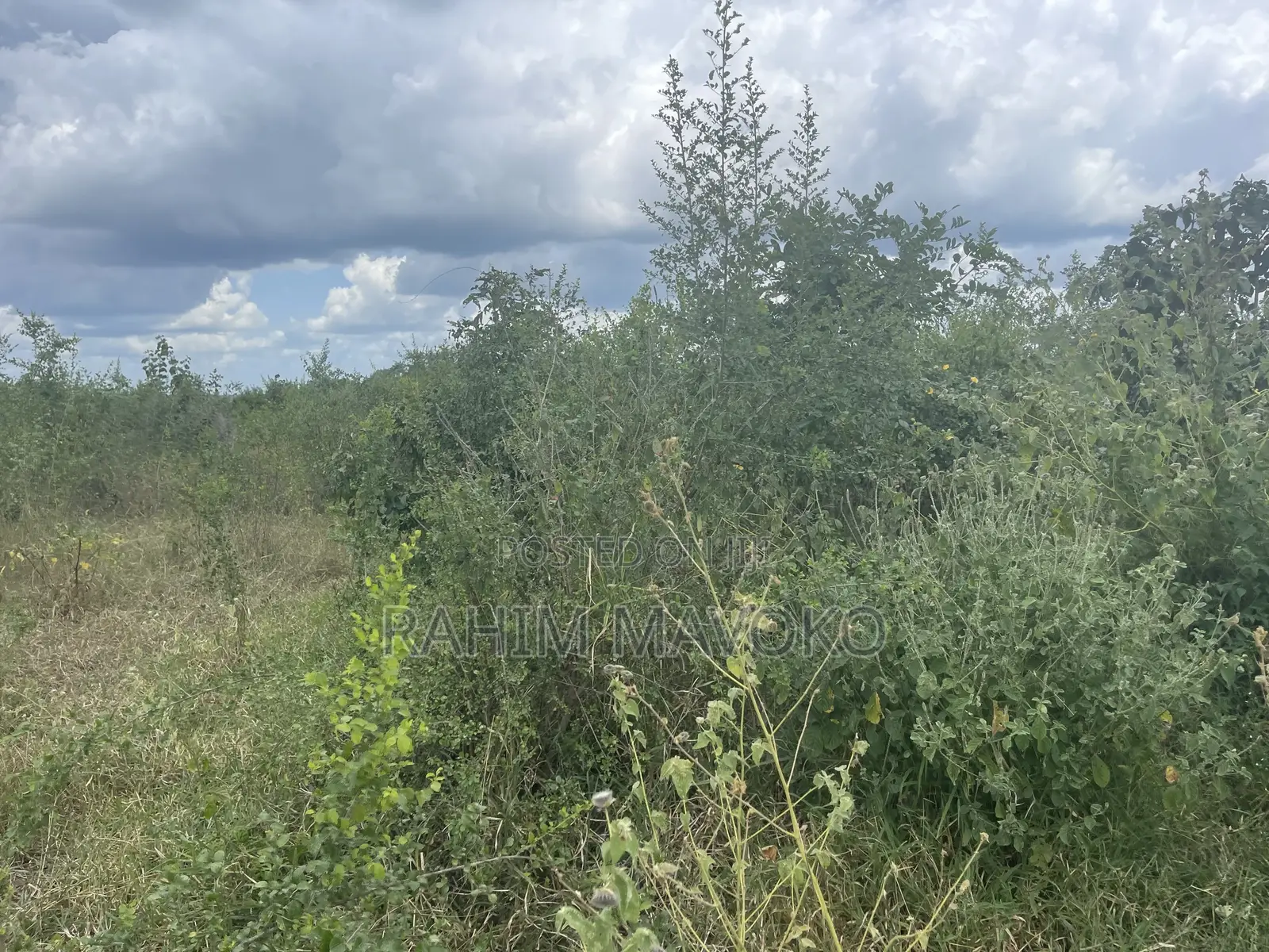 Shamba Linauzwa Lenye Hati Miliki