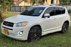 Toyota RAV4 2009 Pearl