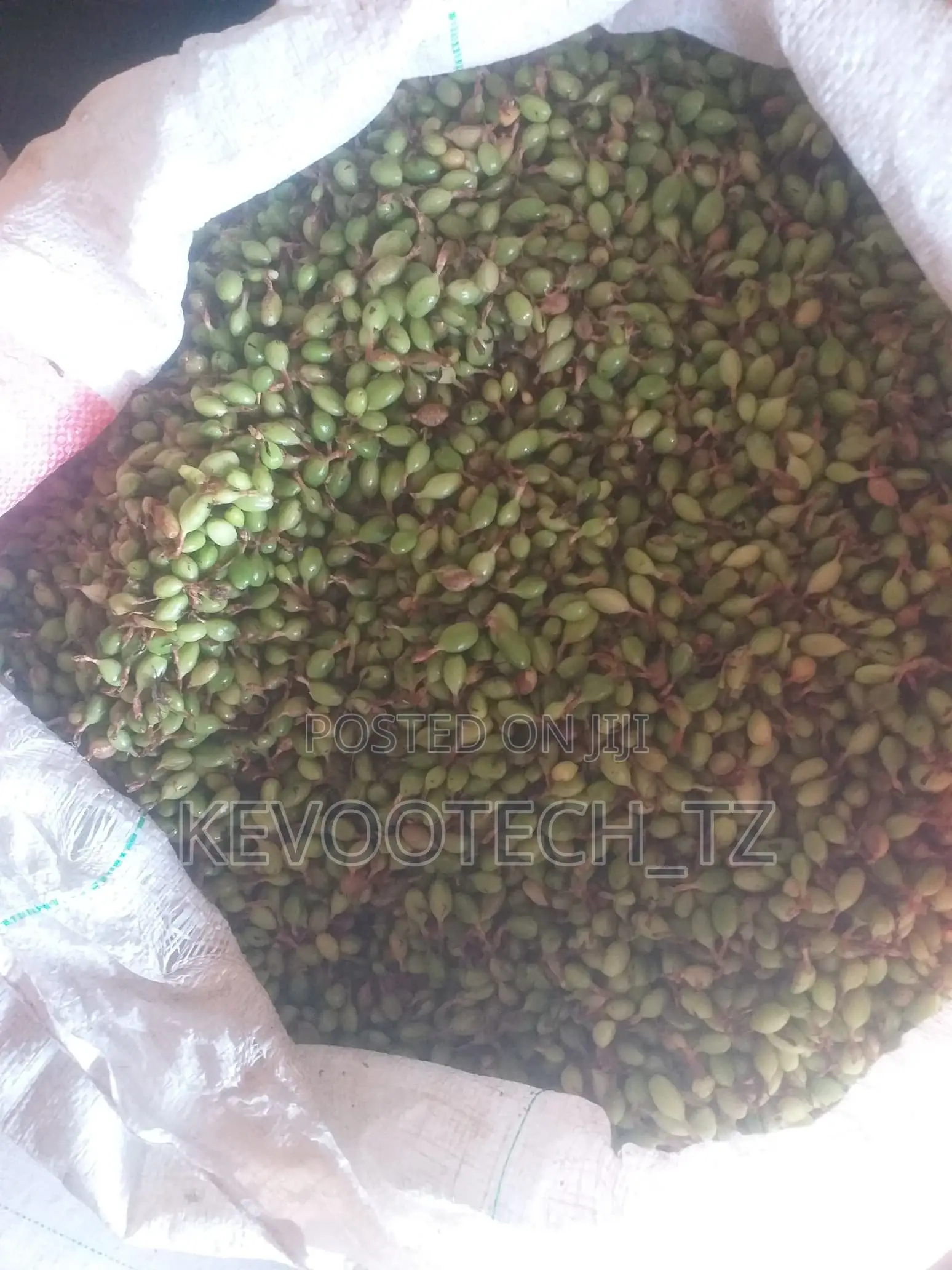 Dry And Raw Cardamom