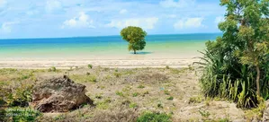 Beach Plot for Sale at Zanzibar