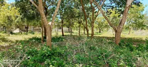 Beach Plot for Sale at Zanzibar