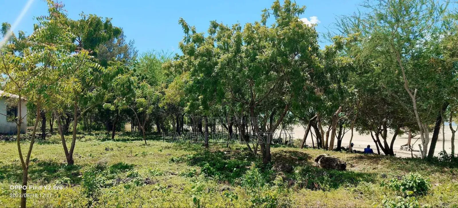 Beach Plot for Sale at Zanzibar