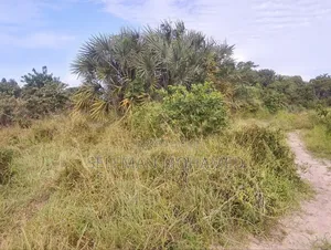 Shamba Linauzwa Kigamboni Buyuni