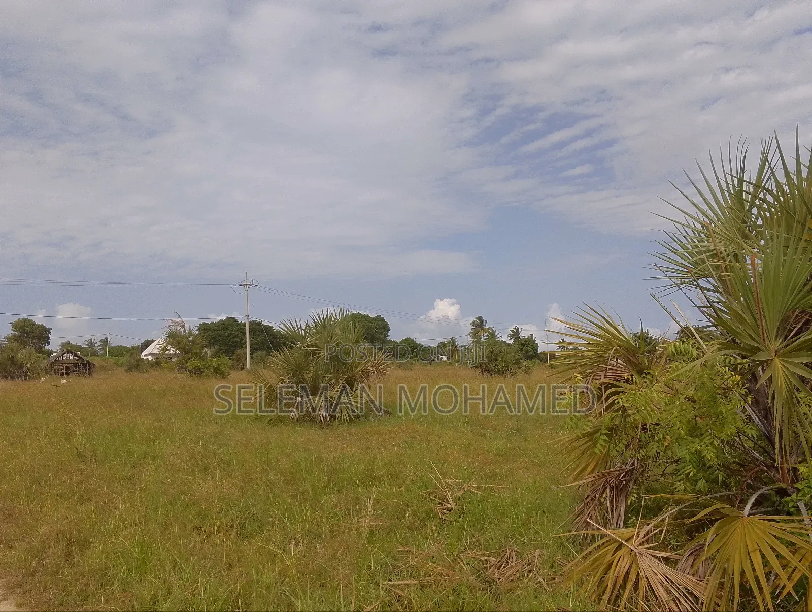 Shamba Linauzwa Kigamboni Buyuni