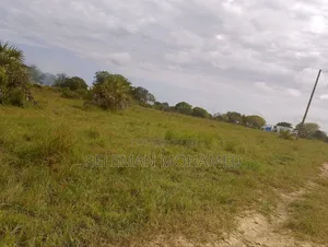 Shamba Linauzwa Kigamboni Buyuni