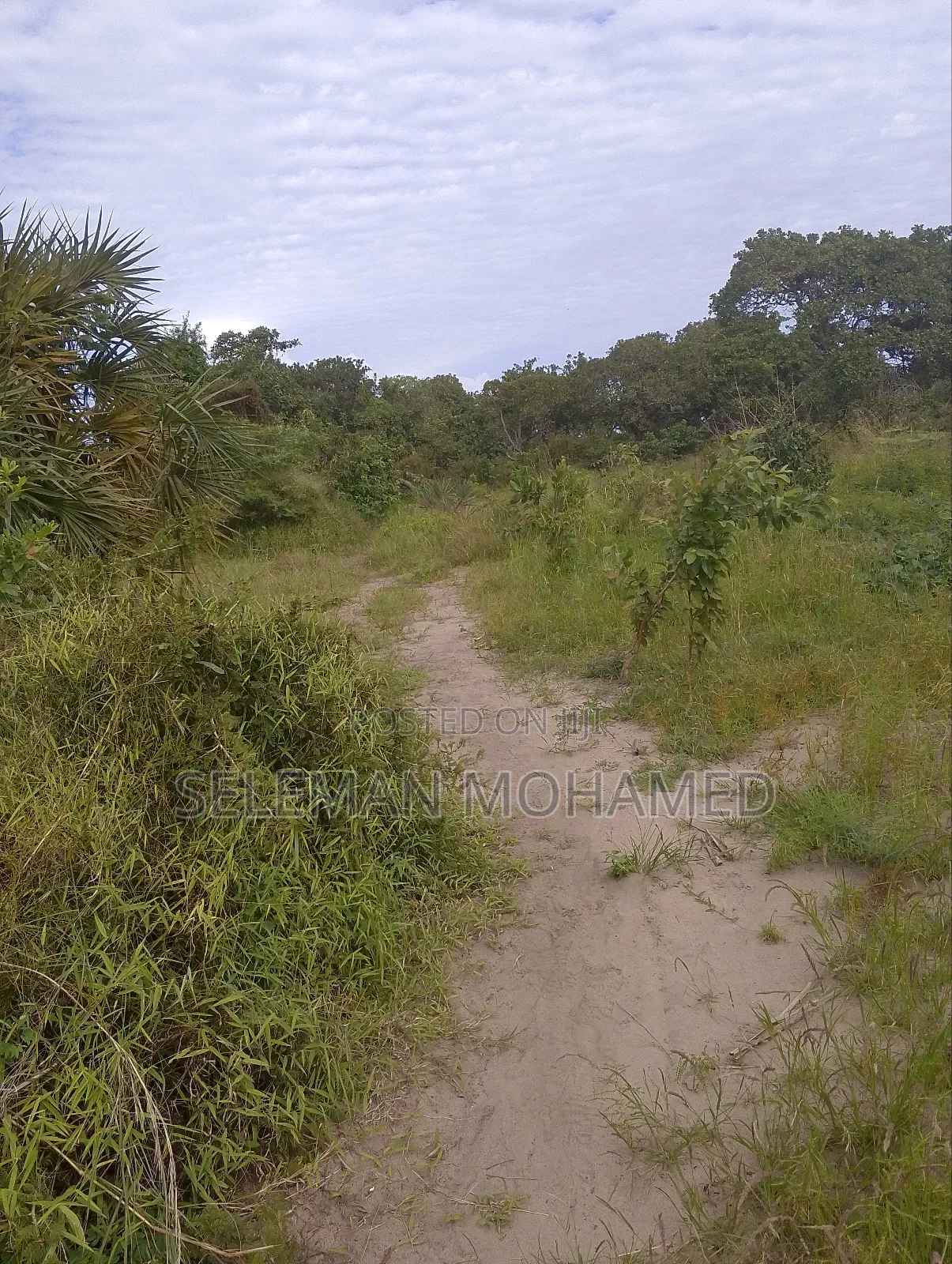 Shamba Linauzwa Kigamboni Buyuni