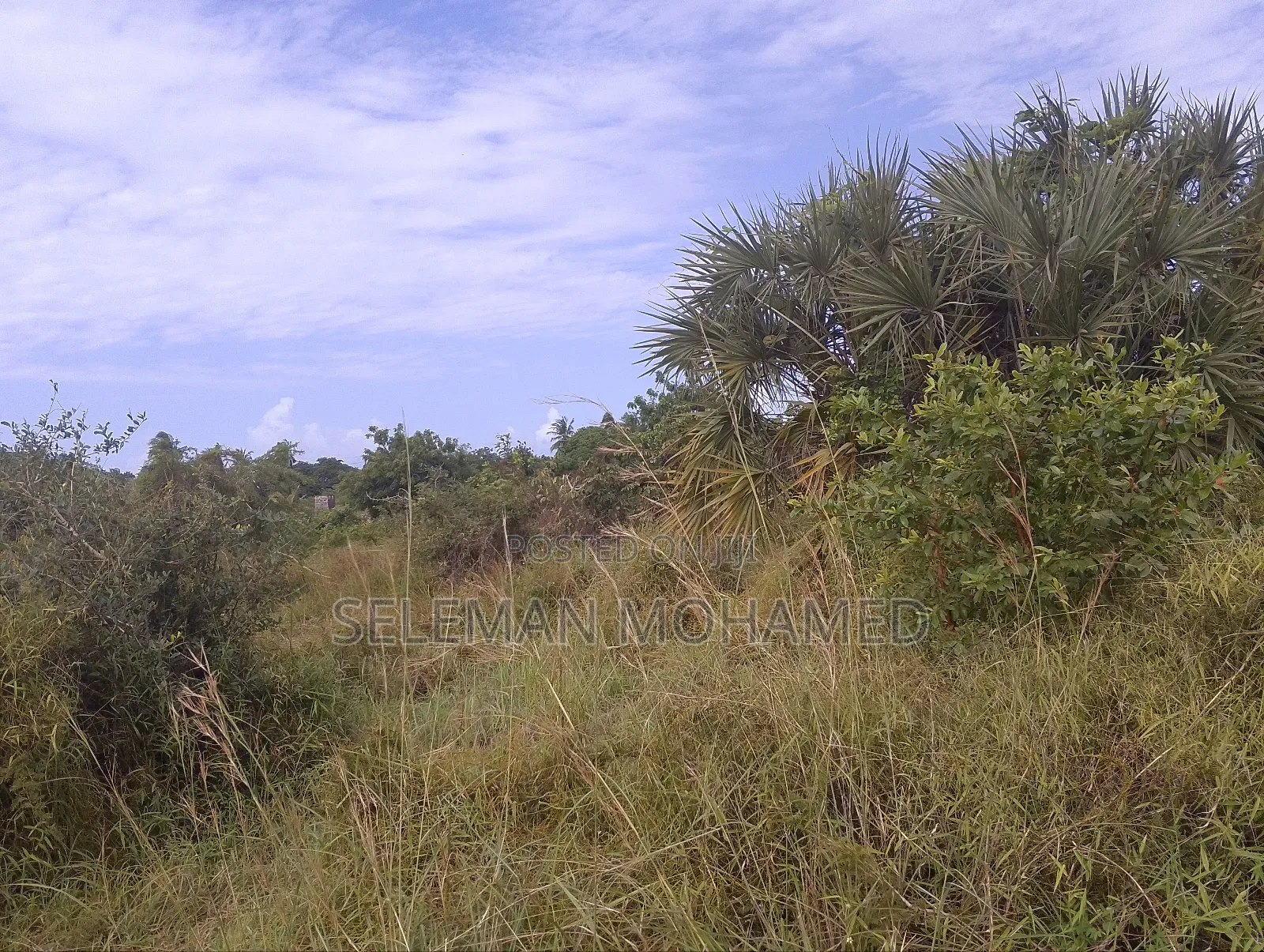 Shamba Linauzwa Kigamboni Buyuni