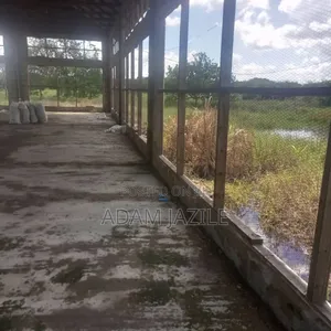 Photo - Mabanda Ya Ufugaji Wa Kuku Yanakodiswa Bagamoyo