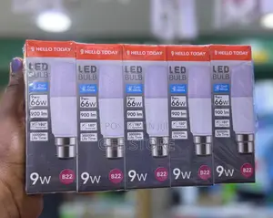 Led Bulb Wt 9