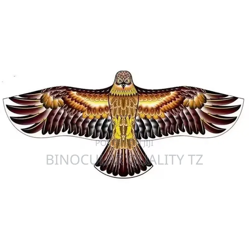 Eagle Kites Au Tiara