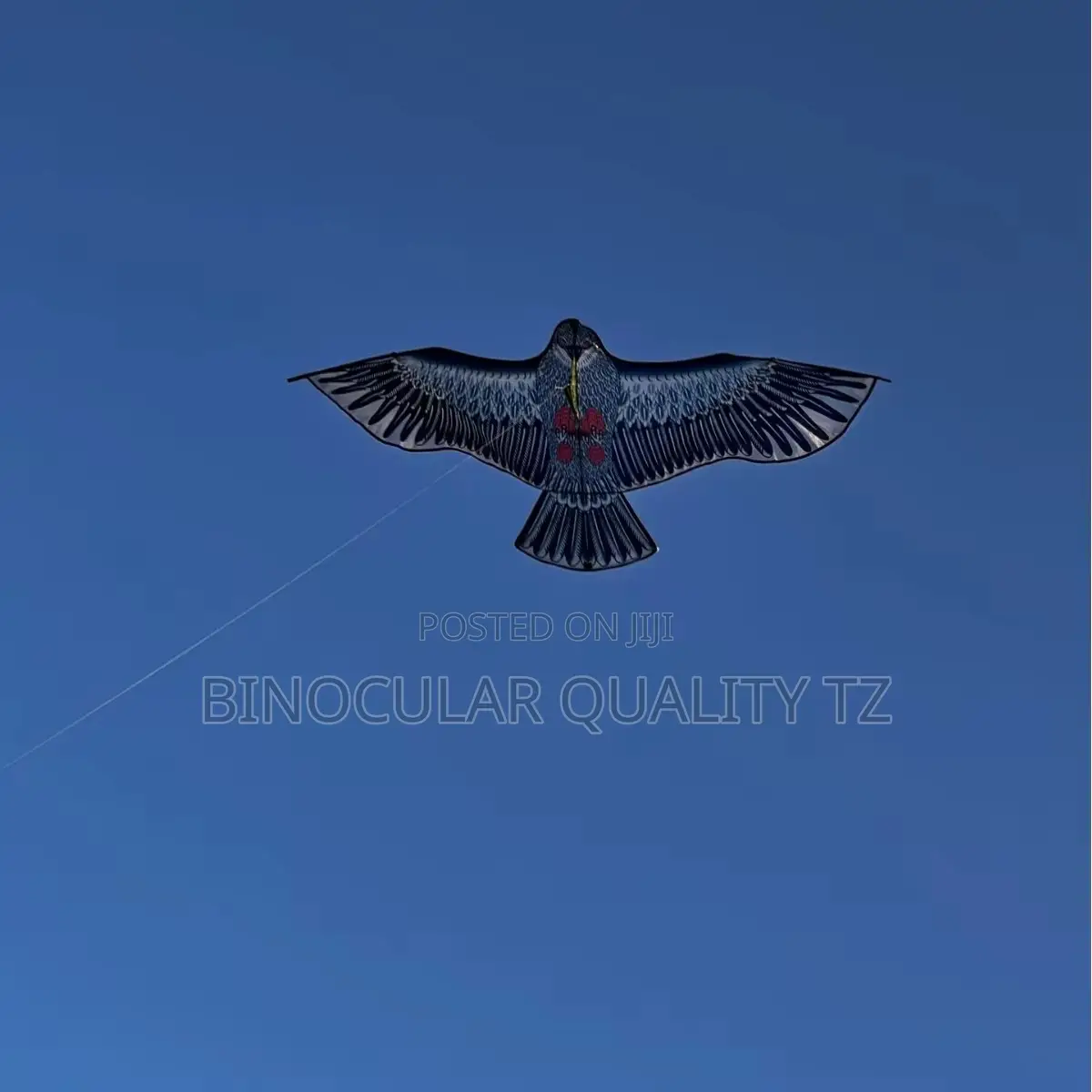 Eagle Kites Au Tiara