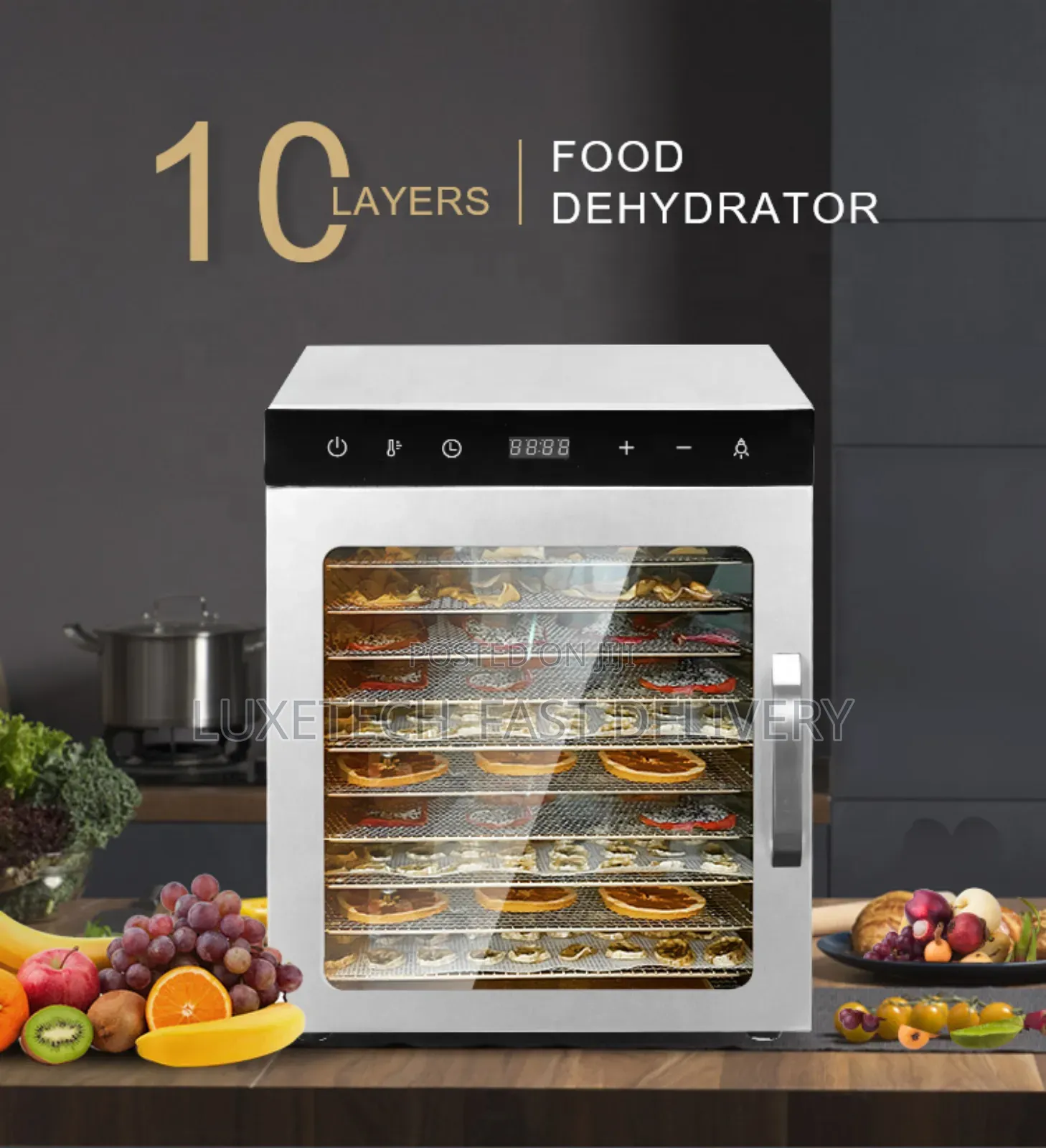 10 Layers Food Dehydrator | Fruit, Vegetable, Food Dryer