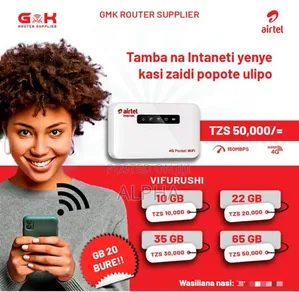 Pocket Wi-Fi Router and Wi-Fi Router
