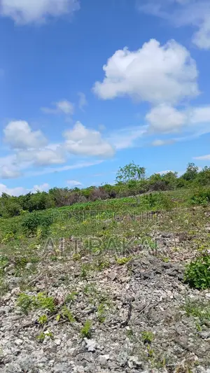 Plot for Sale