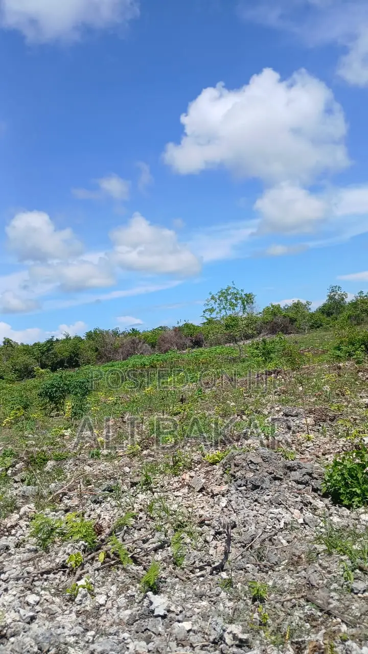 Plot for Sale