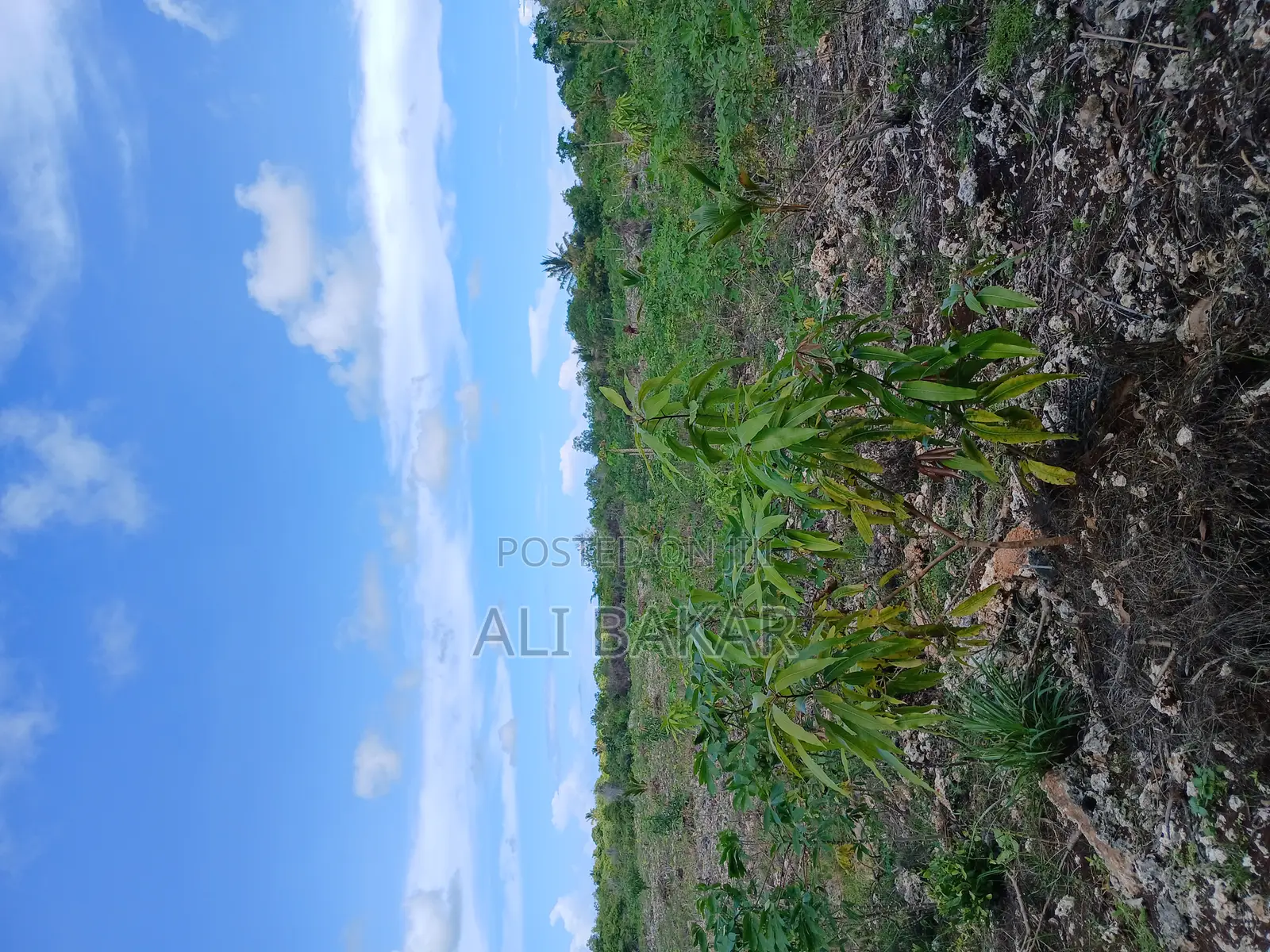 Plot for Sale