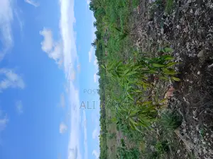 Plot for Sale