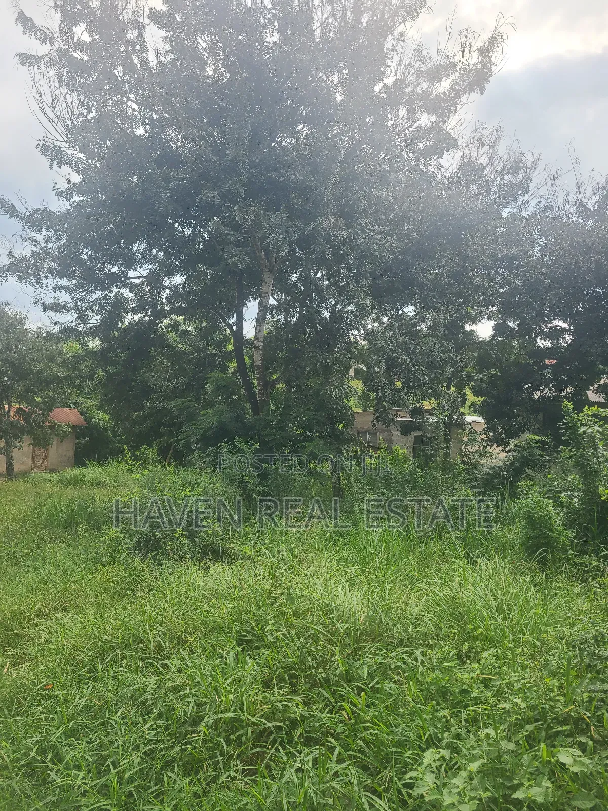 Kiwanja Kinauzwa Makongo Juu