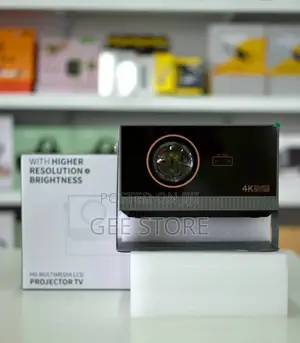  Projector