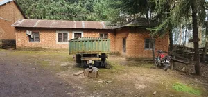 Shamba Linauzwa Mufindi Iringa