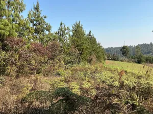 Shamba Linauzwa Kilolo