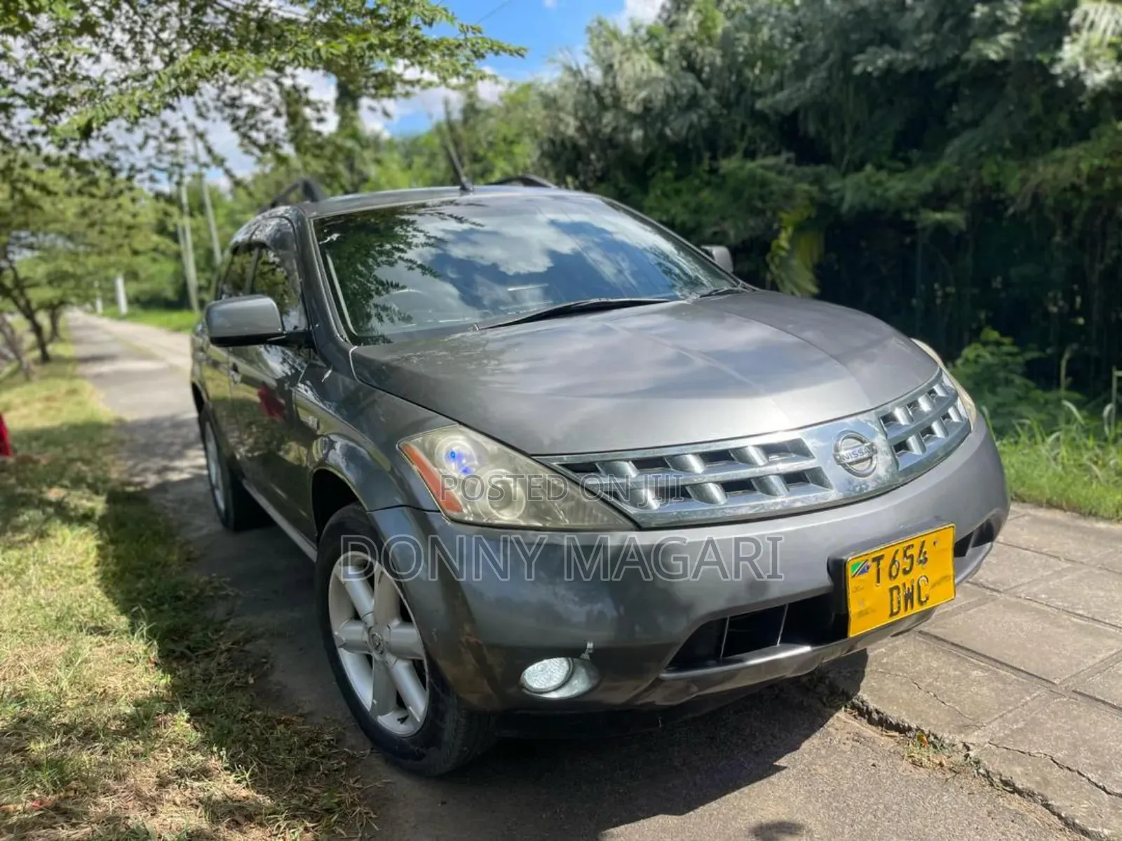 Nissan Murano 2006 Gray