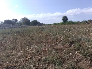 Uwanja SQM 1000 Million 3 Unauzwa