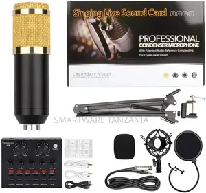 Legendary Vocal Professional Condenser Microphone Kit