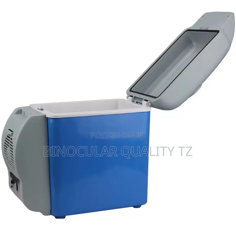 Portable Car Cooler Mini Fridge Electric Car Cooler Warmer