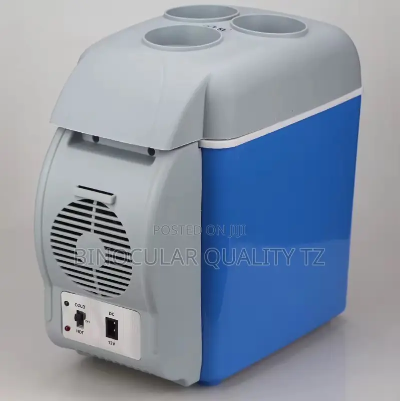 Portable Car Cooler Mini Fridge Electric Car Cooler Warmer