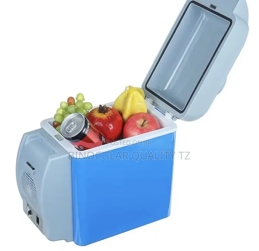 Portable Small Refrigerator for Hotels Cars